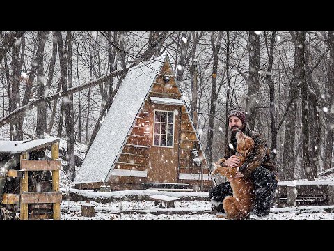 SNOWSTORM AT THE CABIN with my Dog!