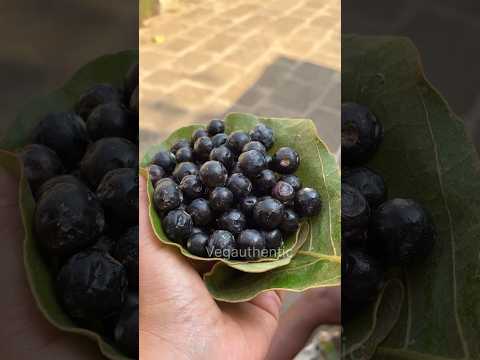 काळी मैना/करवंद 😋😋तुम्ही या सिझनला ही खाल्ली का? #vegauthentic #रानमेवा #रानमेवा_करवंद