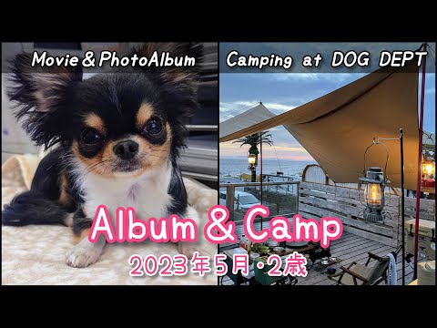 【アルバム】2歳☆チワワのMovie & PhotoAlbum23☆2023年5月＆パパの犬連れソロキャンプ