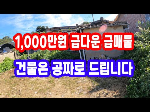 경북땅 시골땅 시골 촌집 1,000만원 급다운 급매물, 건물 공짜 햇살 가득 마당 넓은 시골주택  촌집