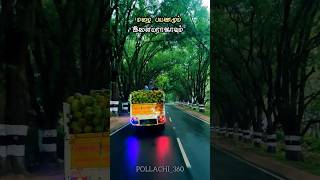 Do You Travel this Route 🤔#pollachi360 #pollachi #coimbatore