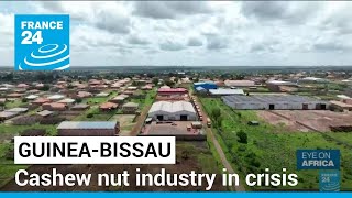 ‘A time of poverty’: Guinea-Bissau’s cashew nut industry in crisis • FRANCE 24 English