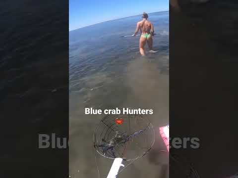 Blue Crab Hunters 🦀 #fishing #bluecrab #westaustralia #livingthedream #pescaria