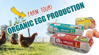 Organic Egg Farm Tours | Organic Valley