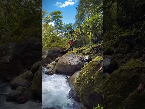 Aguas Claras - Sampoña #live #music #flute #relax #nature #amazon #ecuador #waterfall #jungle