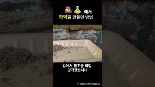 화약재료 초석(염초)이 귀해서 했던 고생들 Part 2 - 염초를 직접 경작하다