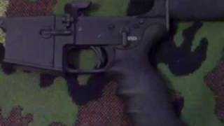 plumcrazy AR lower review