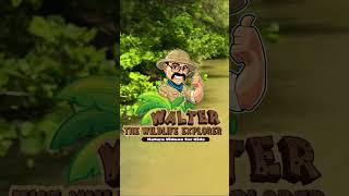 Nature Videos for Toddlers - Walter Catches a Big Fish - Educational Videos for Kids #Shorts