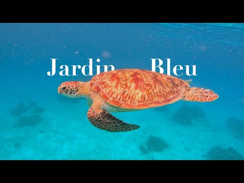 Jardin Bleu