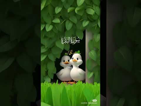 Islamic shorts #surah baqara with Urdu translation #youtubeshorts @Fairyfashions109