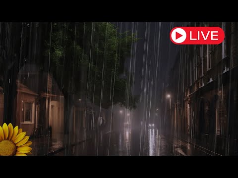 🔴SOM da NOITE com CHUVA FORTE  e TROVOADAS Caindo na Rua.  SONO | RELAXAR | DORMIR 🌧️