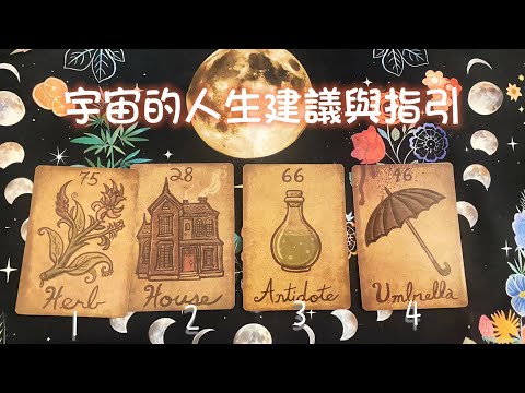 【蜜拉塔羅占卜MilaSpiritualTarot】有字幕！請開字幕🫰不知該何去何從嗎？此刻宇宙給你的一些人生指引與建議！