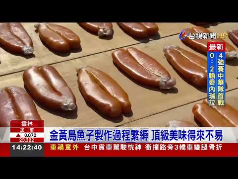 烏魚瀑布再現！ 首波「開殺」魚卵肥美品質佳