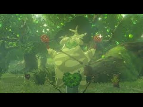 ゼルダの伝説 ブレス オブ ザ ワイルド #9 コログの森