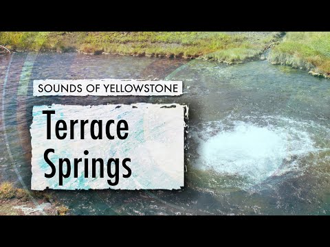 Terrace Springs — ASMR, Sleep, Concentration (Sounds of Yellowstone)