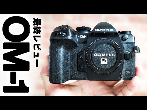 OM-1 ついに最終レビュー！そして新型フラッグシップ「OM-1 Mark II」を予約した件