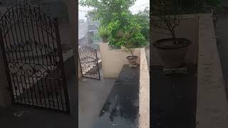 Heavy rains in Andhra Telangana #rain #heavyrain #shortvideo #shorts