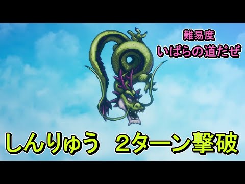 しんりゅう　２ターン撃破【ドラゴンクエストⅢ　HD-2D】【難易度 いばらの道だぜ】【ネタバレ注意】