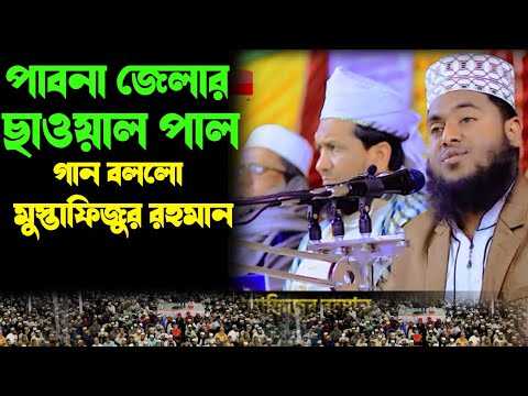 পাবনার সেই ভাইরাল গান | পাবনা জেলার ছাওয়াল পাল | মুস্তাফিজুর রহমান শেরপুরী