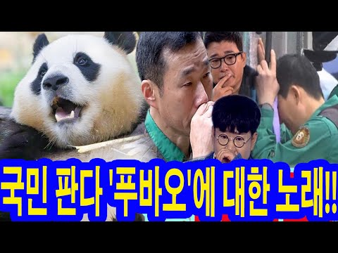 작곡가 조영수가 '국민판다' 푸바오에 대한 노래를 작곡했다!! 가사가 정말 슬퍼... 수백만명이 듣고 폭풍오열! 강바오·송바오→mc김성주까지 눈물을 멈출 수 없다.