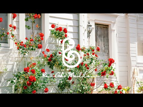 Colorful Spring Garden with Calm Music