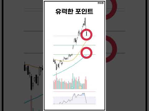 엔비디아 -7٪하락에도 웃을 수 있는 이유