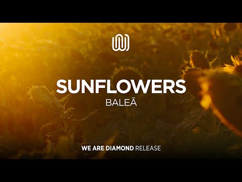 BALEĀ - Sunflowers