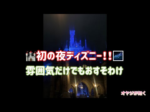 ディズニーランドへ！！ 夜のディズニーランドは初めてです。