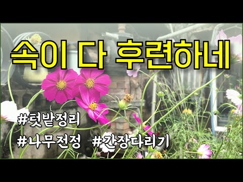 가을정리 / 텃밭정리, 향나무전정, 간장다리기, 꽃화분 정리 / countryside, vegetable garden, weekend hobby