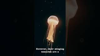 Electric Ocean: Bioluminescent Magic #amazinganimals #naturejourney