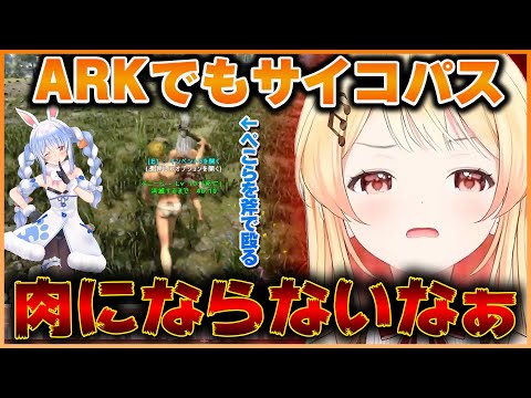 【音乃瀬奏】人生初ARKでも殴りが止まらない奏ちゃんのホロメンとの絡みまとめｗ【ホロライブ切り抜き/ReGLOSS/音乃瀬奏】 #ホロライブ #音乃瀬奏 #兎田ぺこら #白銀ノエル #宝鐘マリン