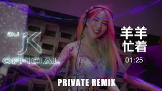 【Private Remix】羊羊 - 忙着 DjJK HardStyle Remix⚡ 热门DJ音乐 | DJ舞曲 | 慢摇