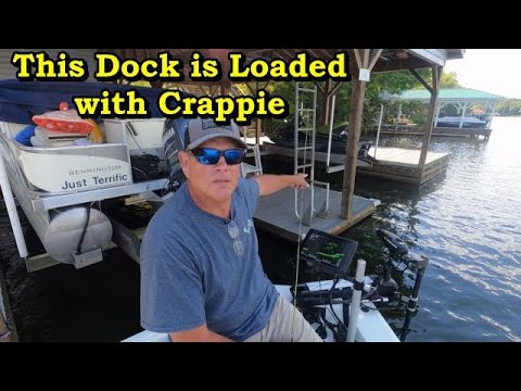 Fall Tactics for Easy Crappie Catches