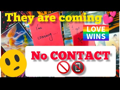 NO CONTACT||BLOCKED SITUATION📵🚫hindi tarot reading|Timeless reading🙏💫REUNION💗|love messages💜❤️✨