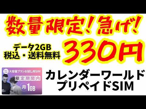 破格！！2ヶ月間データ合計2GBのプリペイドSIMが330円(税込・送料無料)でお得！数量限定なので欲しい人は急げ！！