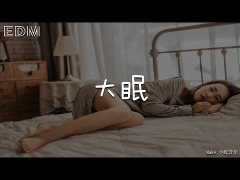 王心凌 大眠🎧抖音热门歌曲 🎧 EDM 中文歌曲 华语 Music