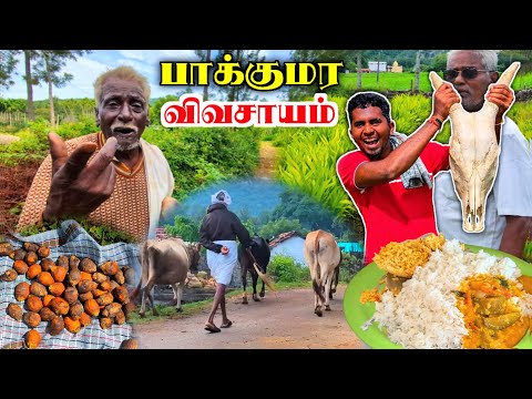 🔥ஹாசனூர் மலை கிராமத்தில் முதல் நாள் பயணம்😍🚶| DHIMBAM HASANUR VILLAGE | ERODE SATHYAMANGALAM | K7