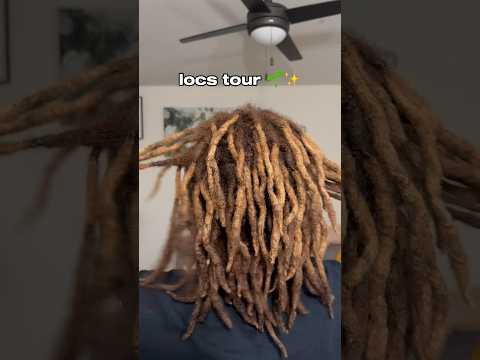 locs tour | no retwist 🌱✨ #locs #locjourney #locstyles #love