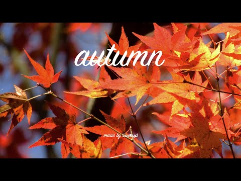 LiQWYD - Autumn [Official]