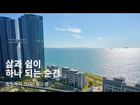 BA FOCUS | 삶과 쉼이 하나 되는 순간