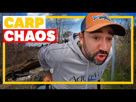 It's Time for a Rod Pod - Fishing a Lake Ontario Canal - Canadian Carp Fishing