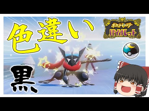 【ポケモンsv】ムーンボール入りの黒ゲッコウガが欲しい……！！　#ポケモンsv #ゆっくり実況 #ゲッコウガ