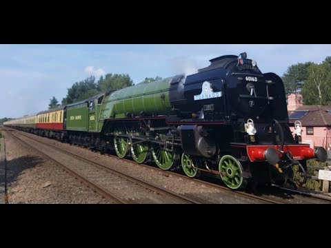 BR A1 Tornado 60163 at speed through Thetford Forest Norfolk plus local trains