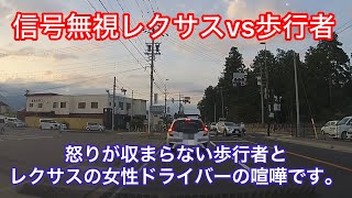 【ドラレコ】危険運転レクサスvsキレる歩行者ガチバトル【交通トラブル】