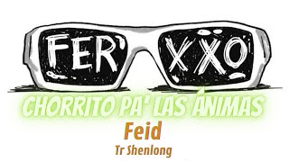 Feid - Chorrito Pa' Las Ánimas (letra) #letras #feid #chorritopalasanimas @TrShenlong