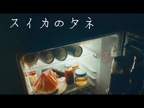 やさしいひとたち。『スイカのタネ』Lyric Video