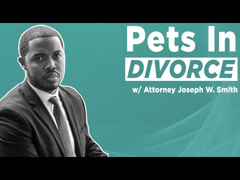 Who Gets the Pets During a Divorce?