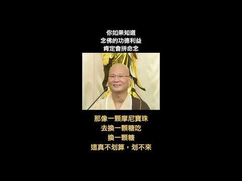 086 你如果知道念佛的功德利益，肯定會拼命念。 悟道法師開示精選