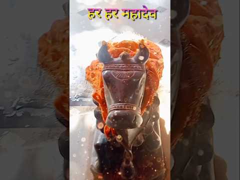 हर हर महादेव नंदेश्वर ll #mhadev #mhakal #mhadeva #music #shortvideo #song #trending #trendingshorts