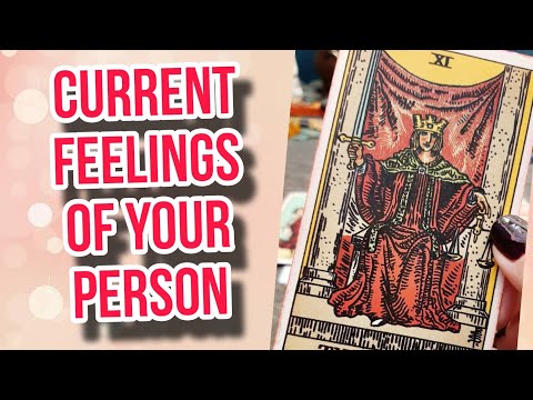 Current Feelings of the person on your mind? | Timeless Tarot Card Reading